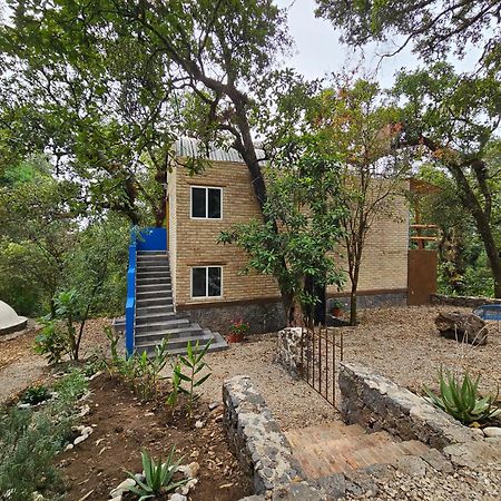 La Cabana Azul Al Fondo Del Bosque De 테포츨란 외부 사진