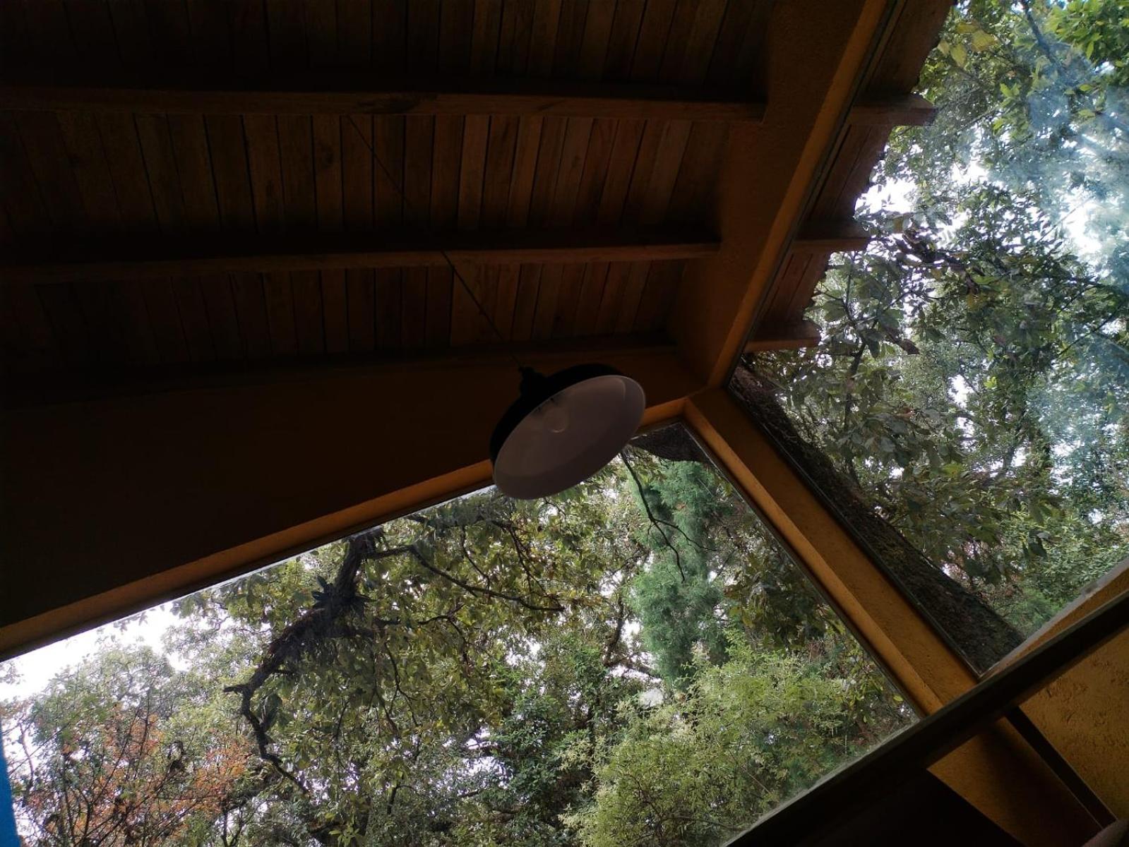 La Cabana Azul Al Fondo Del Bosque De 테포츨란 외부 사진