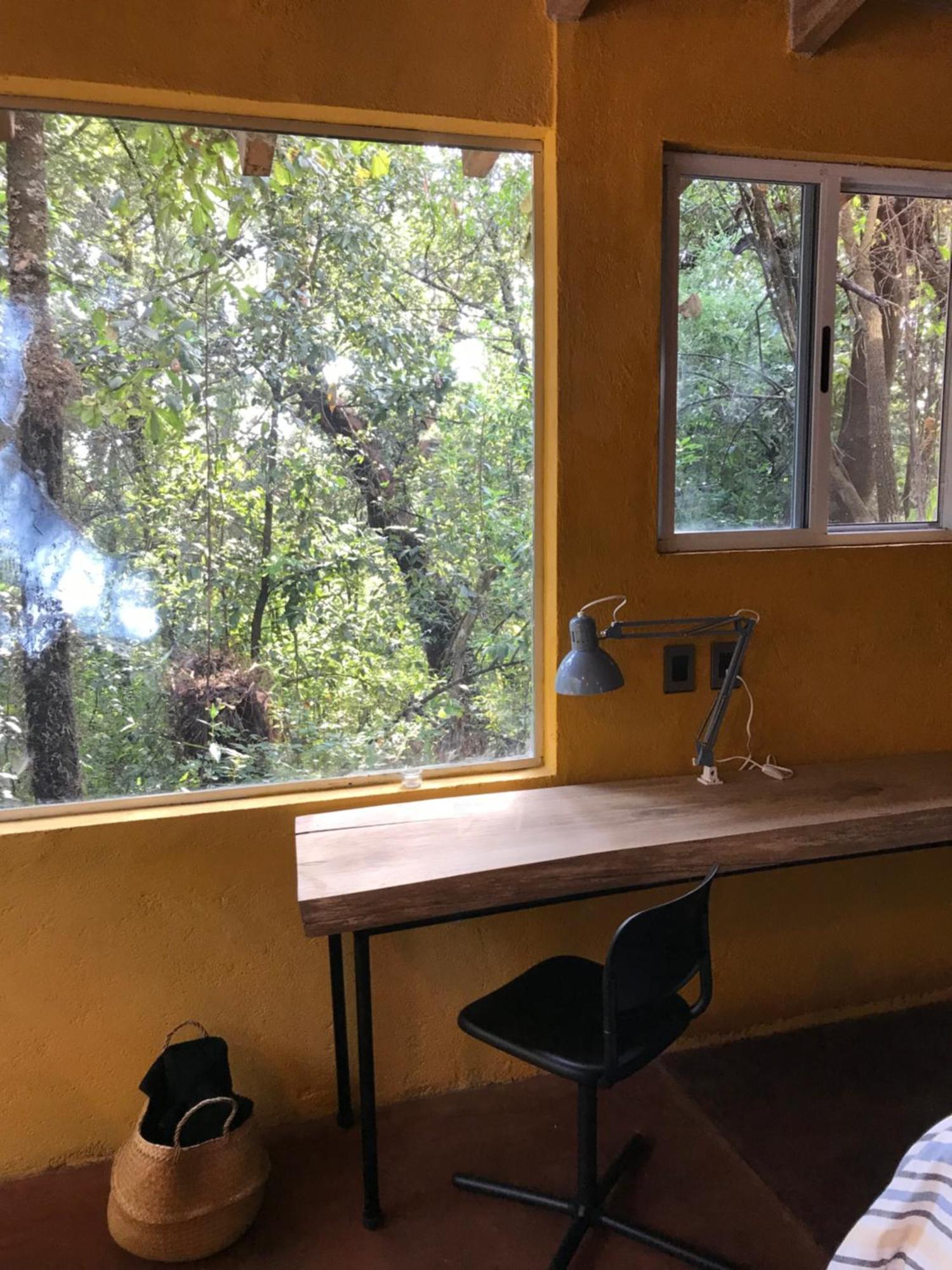 La Cabana Azul Al Fondo Del Bosque De 테포츨란 외부 사진
