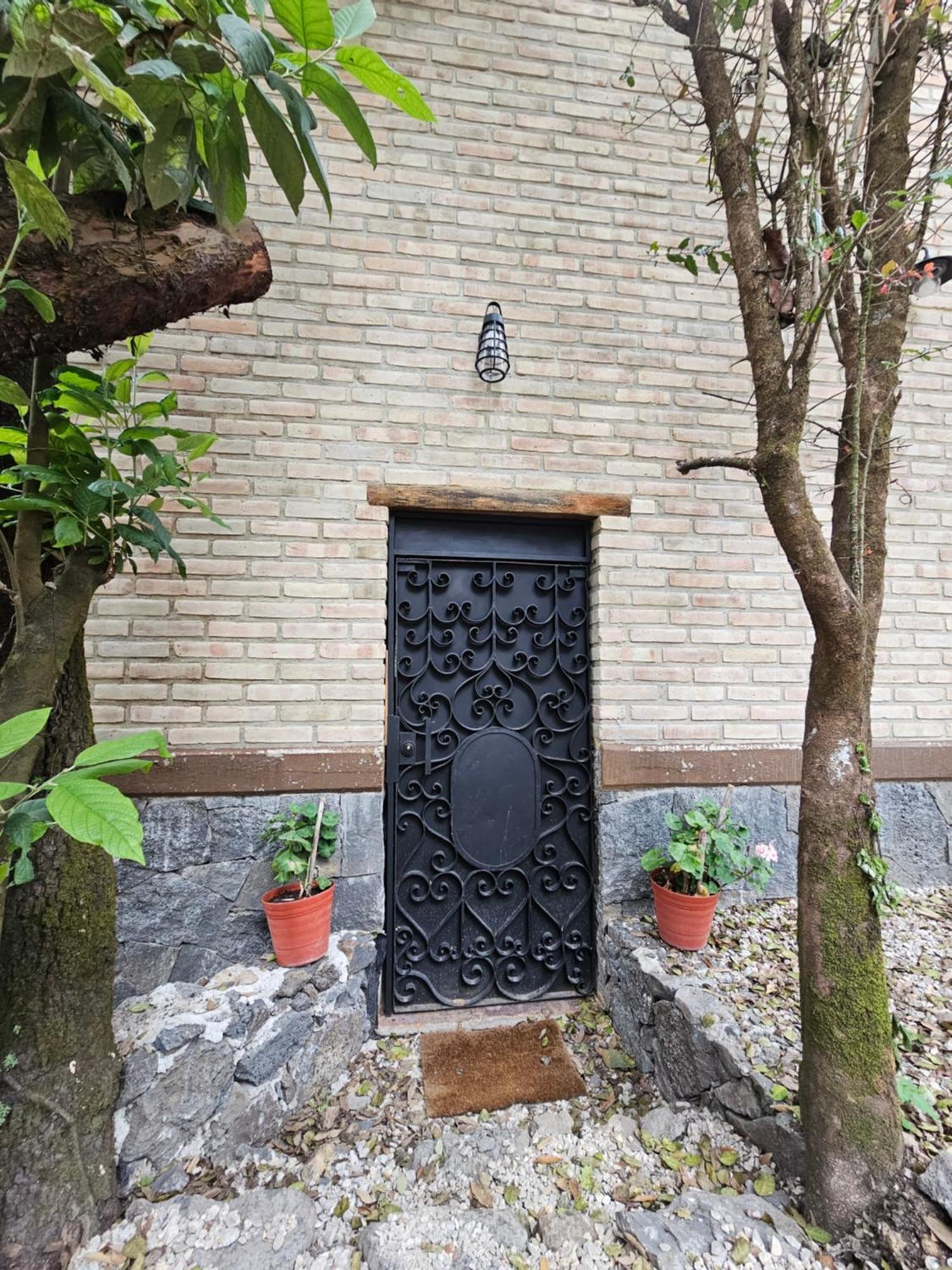 La Cabana Azul Al Fondo Del Bosque De 테포츨란 외부 사진