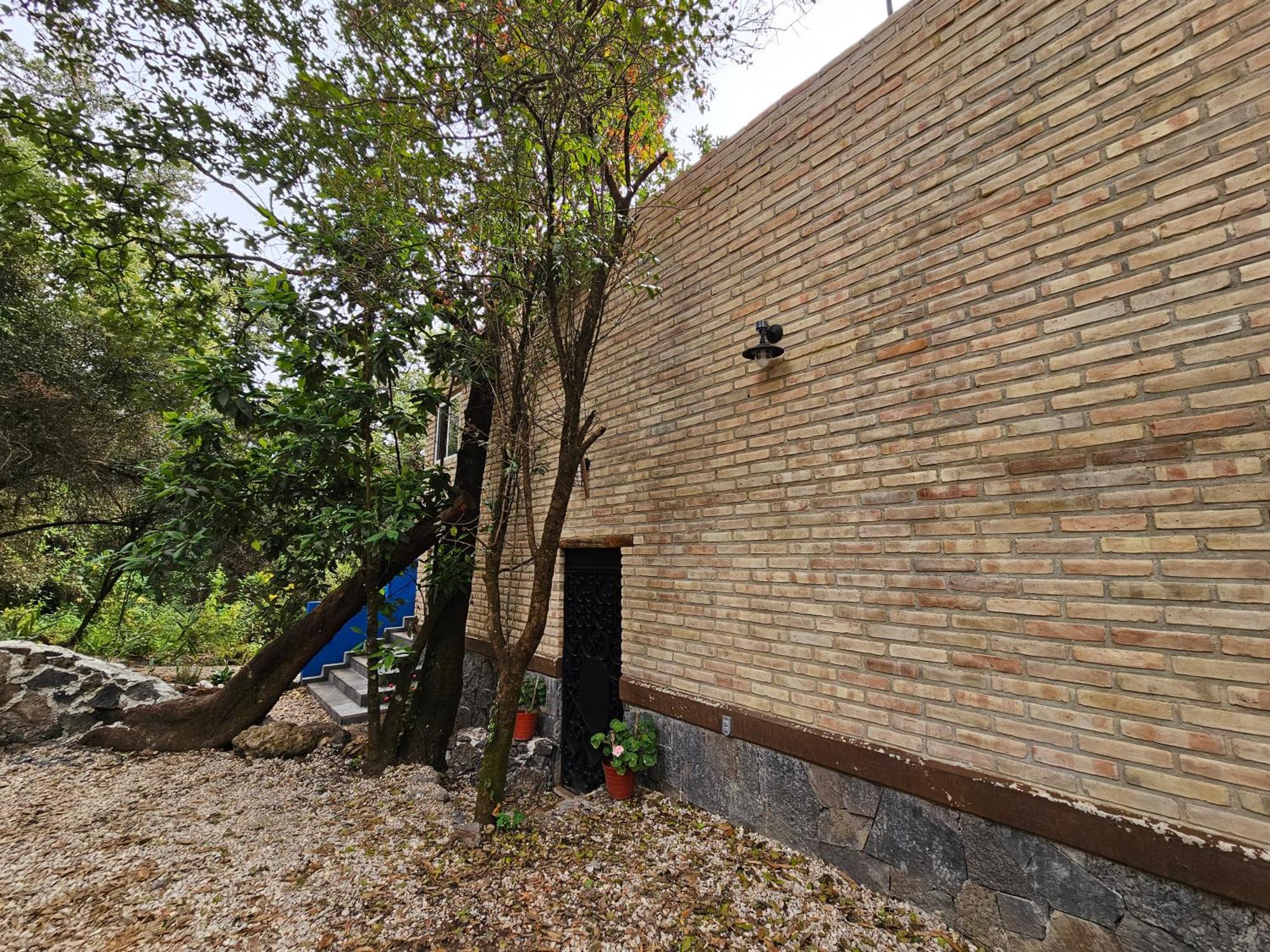 La Cabana Azul Al Fondo Del Bosque De 테포츨란 외부 사진