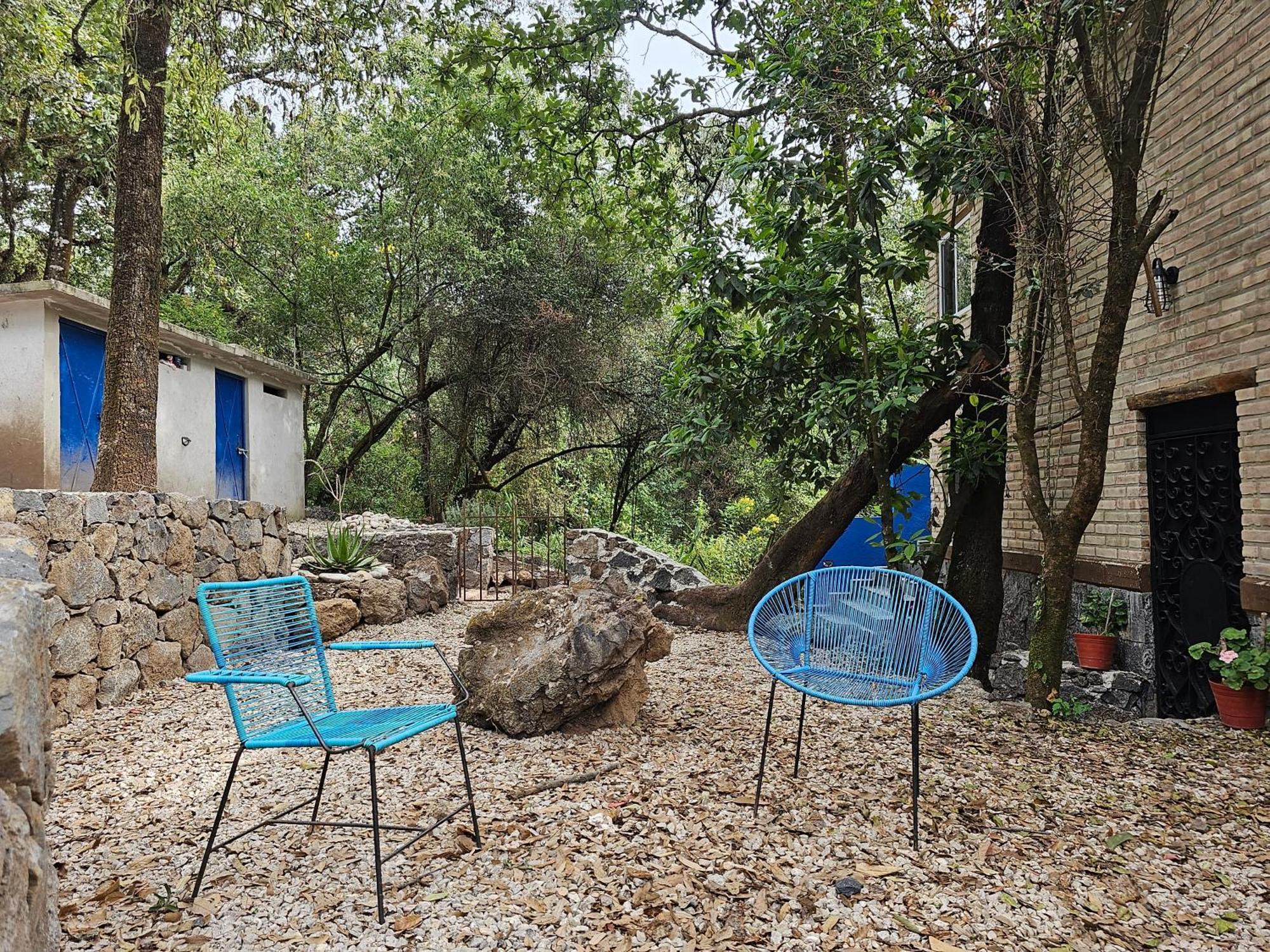 La Cabana Azul Al Fondo Del Bosque De 테포츨란 외부 사진